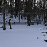 Le Loft Du Renard, Cosy Au Coeur De La Nature Boisee A Wepion, Parenthese Douce Dans La Vallee Mosane Ferienhaus