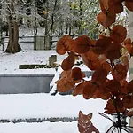 Le Loft Du Renard, Cosy Au Coeur De La Nature Boisee A Wepion, Parenthese Douce Dans La Vallee Mosane Namur
