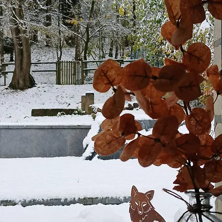Le Loft Du Renard, Cosy Au Coeur De La Nature Boisee A Wepion, Parenthese Douce Dans La Vallee Mosane Namur (Namen)