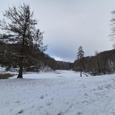 Le Loft Du Renard, Cosy Au Coeur De La Nature Boisee A Wepion, Parenthese Douce Dans La Vallee Mosane 度假居