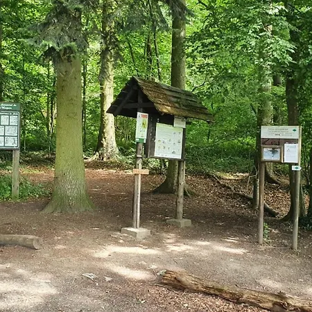 Le Loft Du Renard, Cosy Au Coeur De La Nature Boisee A Wepion, Parenthese Douce Dans La Vallee Mosane Ferienhaus