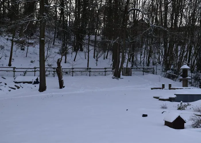 Le Loft Du Renard, Cosy Au Coeur De La Nature Boisee A Wepion, Parenthese Douce Dans La Vallee Mosane בית נופש