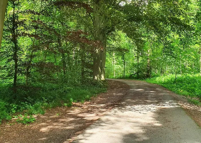 Le Loft Du Renard, Cosy Au Coeur De La Nature Boisee A Wepion, Parenthese Douce Dans La Vallee Mosane 度假居