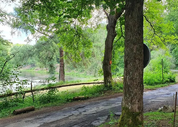 Le Loft Du Renard, Cosy Au Coeur De La Nature Boisee A Wepion, Parenthese Douce Dans La Vallee Mosane נמור