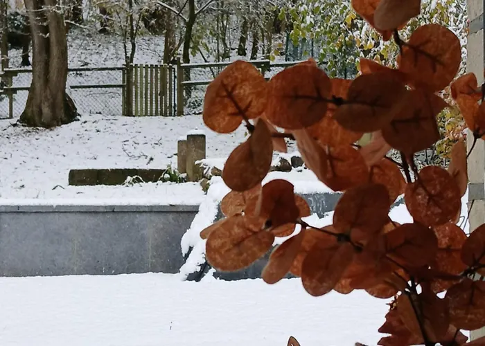 Le Loft Du Renard, Cosy Au Coeur De La Nature Boisee A Wepion, Parenthese Douce Dans La Vallee Mosane 那慕尔