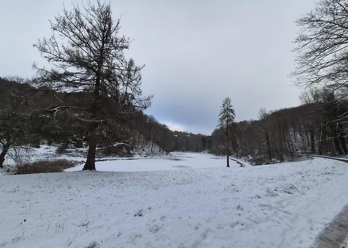 Le Loft Du Renard, Cosy Au Coeur De La Nature Boisee A Wepion, Parenthese Douce Dans La Vallee Mosane 度假居