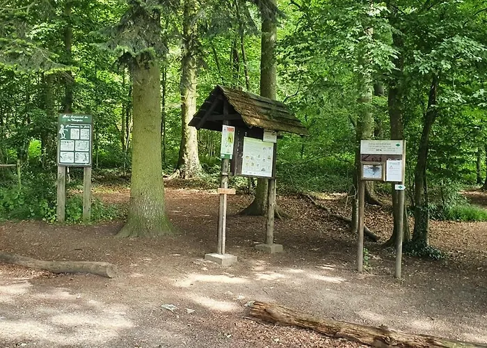 Le Loft Du Renard, Cosy Au Coeur De La Nature Boisee A Wepion, Parenthese Douce Dans La Vallee Mosane בית נופש