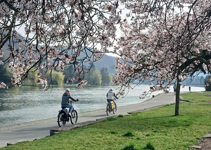 Le Loft Du Renard, Cosy Au Coeur De La Nature Boisee A Wepion, Parenthese Douce Dans La Vallee Mosane בית נופש *